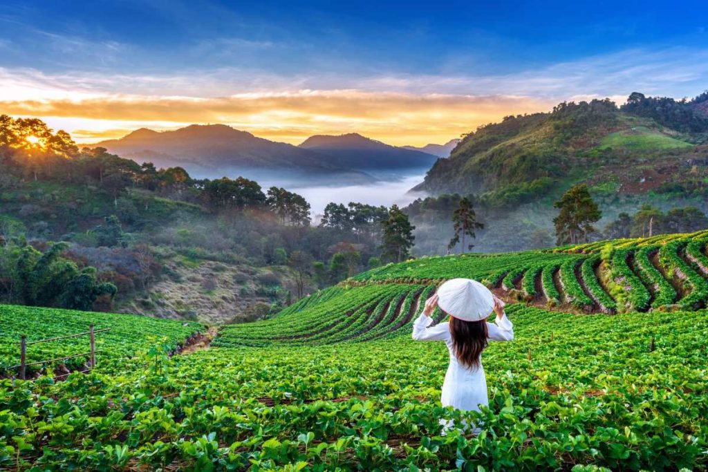 planificación primer viaje a vietnam